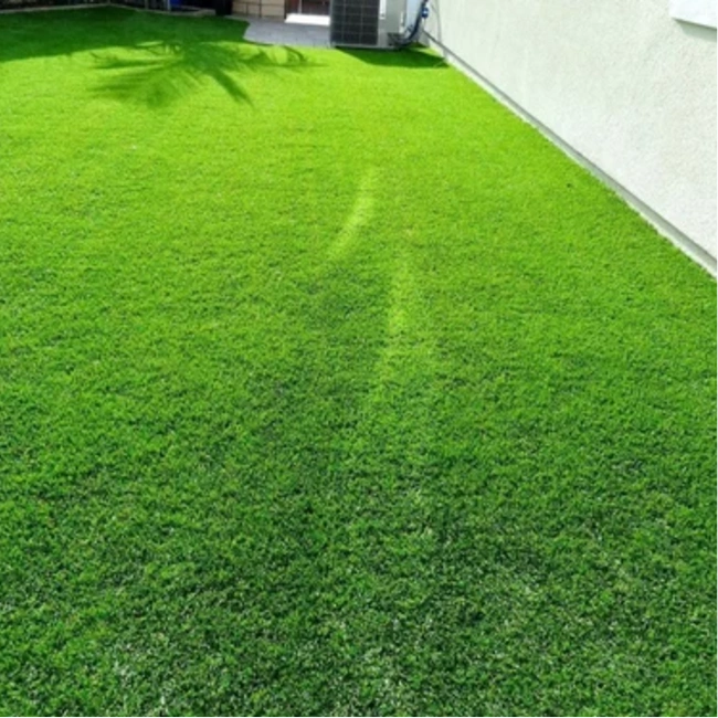 Grass Carpet Dubai UAE